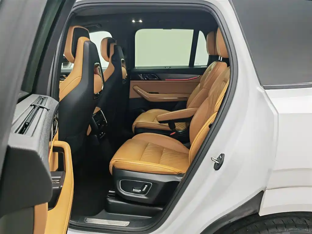 Lynk & Co 09 EM-P 2021 2.0T PHEV Halo 6-seater фото 15