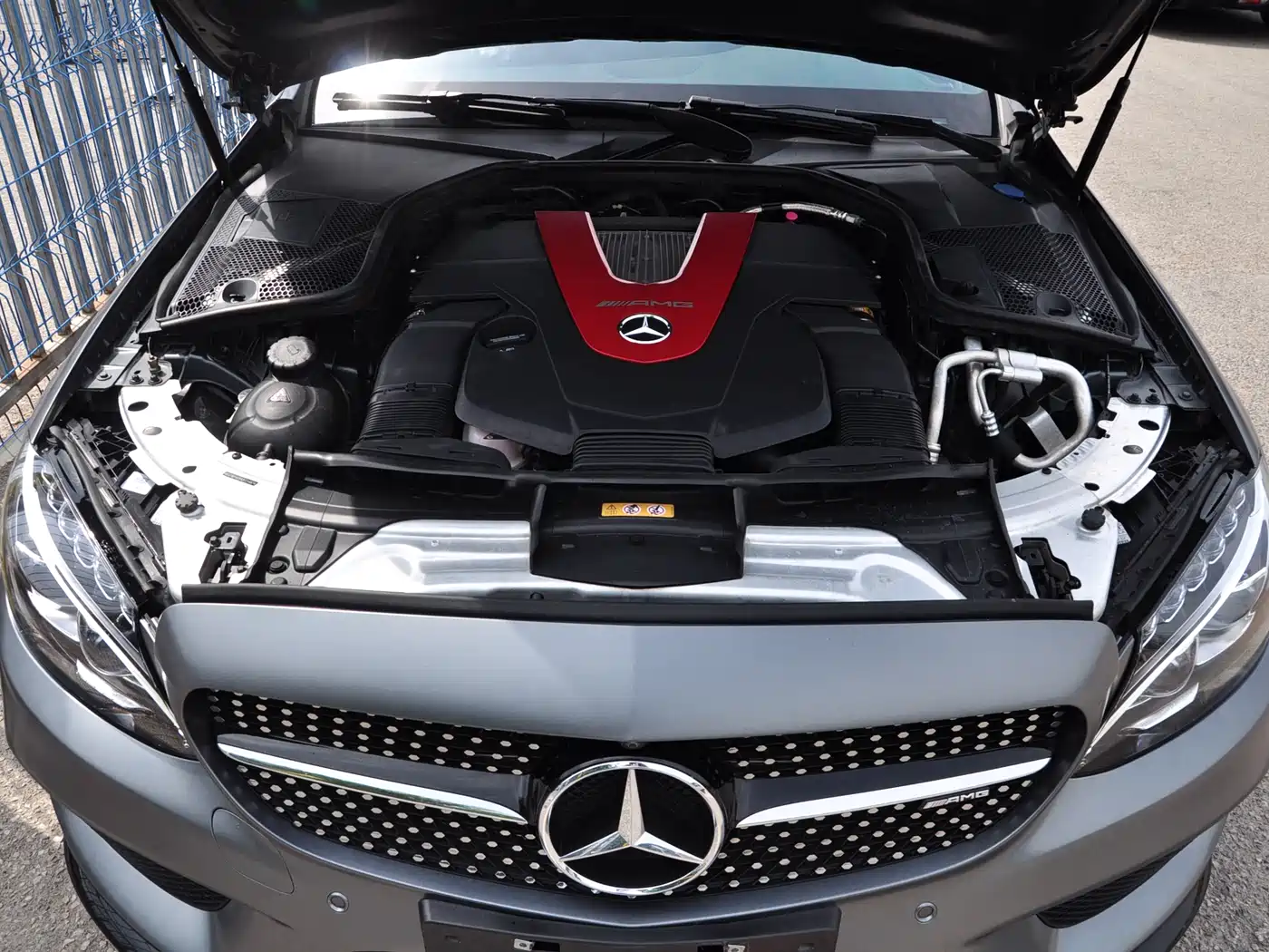Mercedes-Benz C-Class AMG 2017 AMG C 43 4MATIC Special Edition фото 17