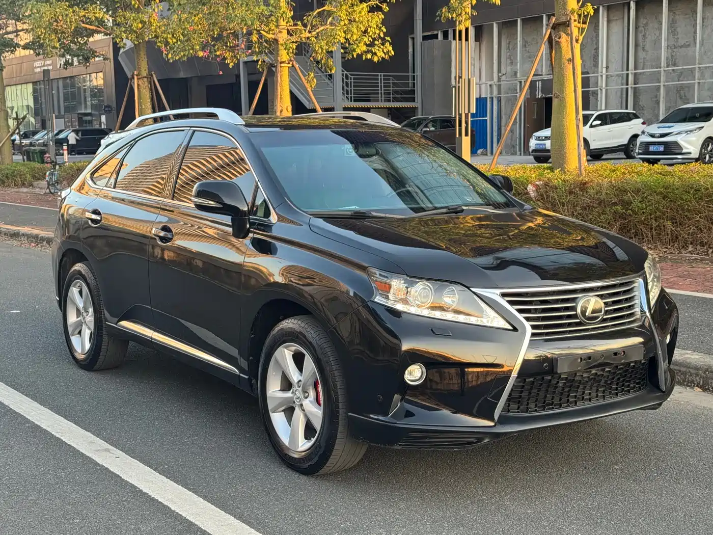 Lexus RX Classic 2013 270 Elite фото 3