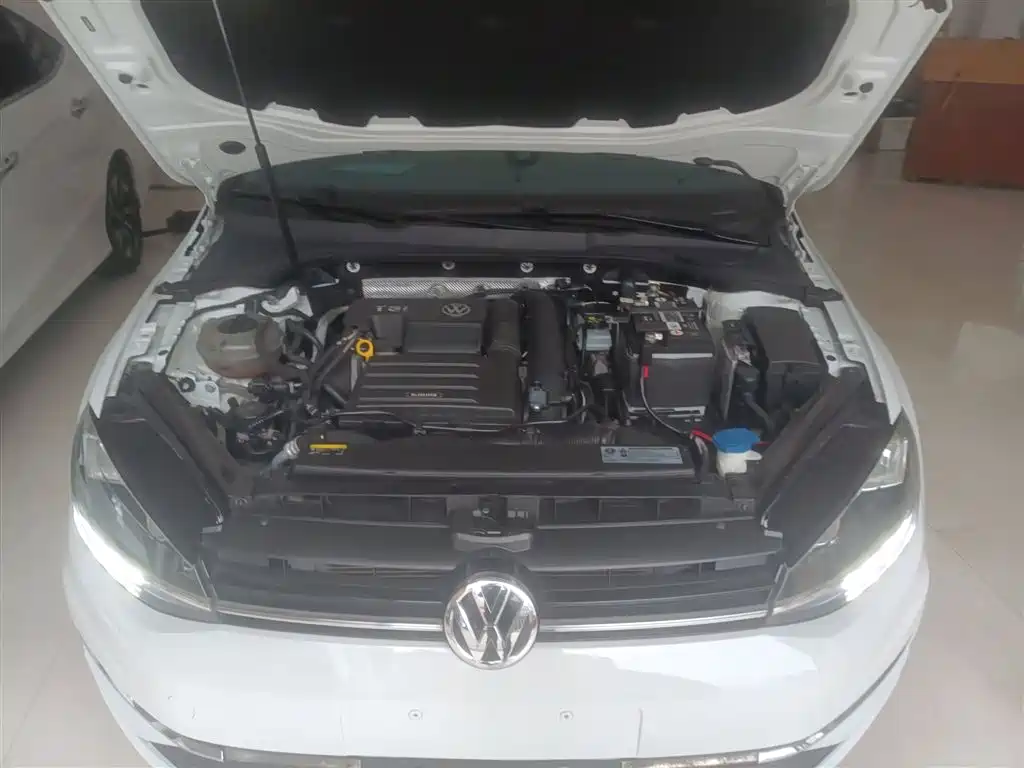 Volkswagen Golf 2019 200TSI DSG Comfort Progressive China VI фото 20