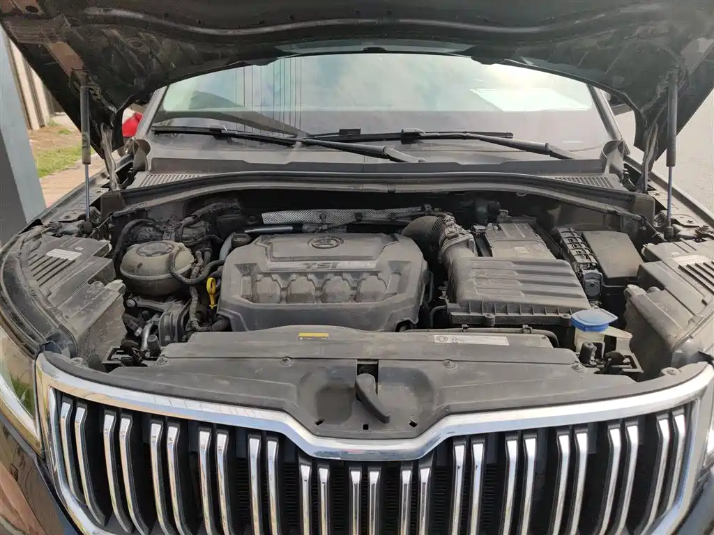 Škoda Kodiaq 2020 TSI330 5-Seater 2WD Luxury Premium Edition фото 11
