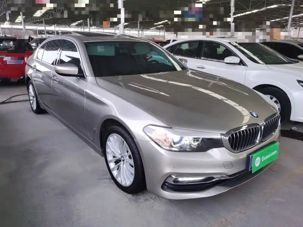 BMW 5 Series 2018 530Li xDrive Luxury Package фото 22