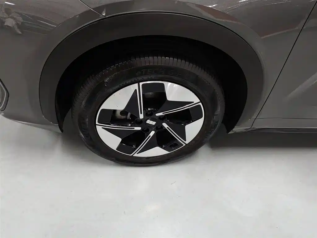 Geely Galaxy Galaxy E5 2024 530km Voyage Edition фото 23