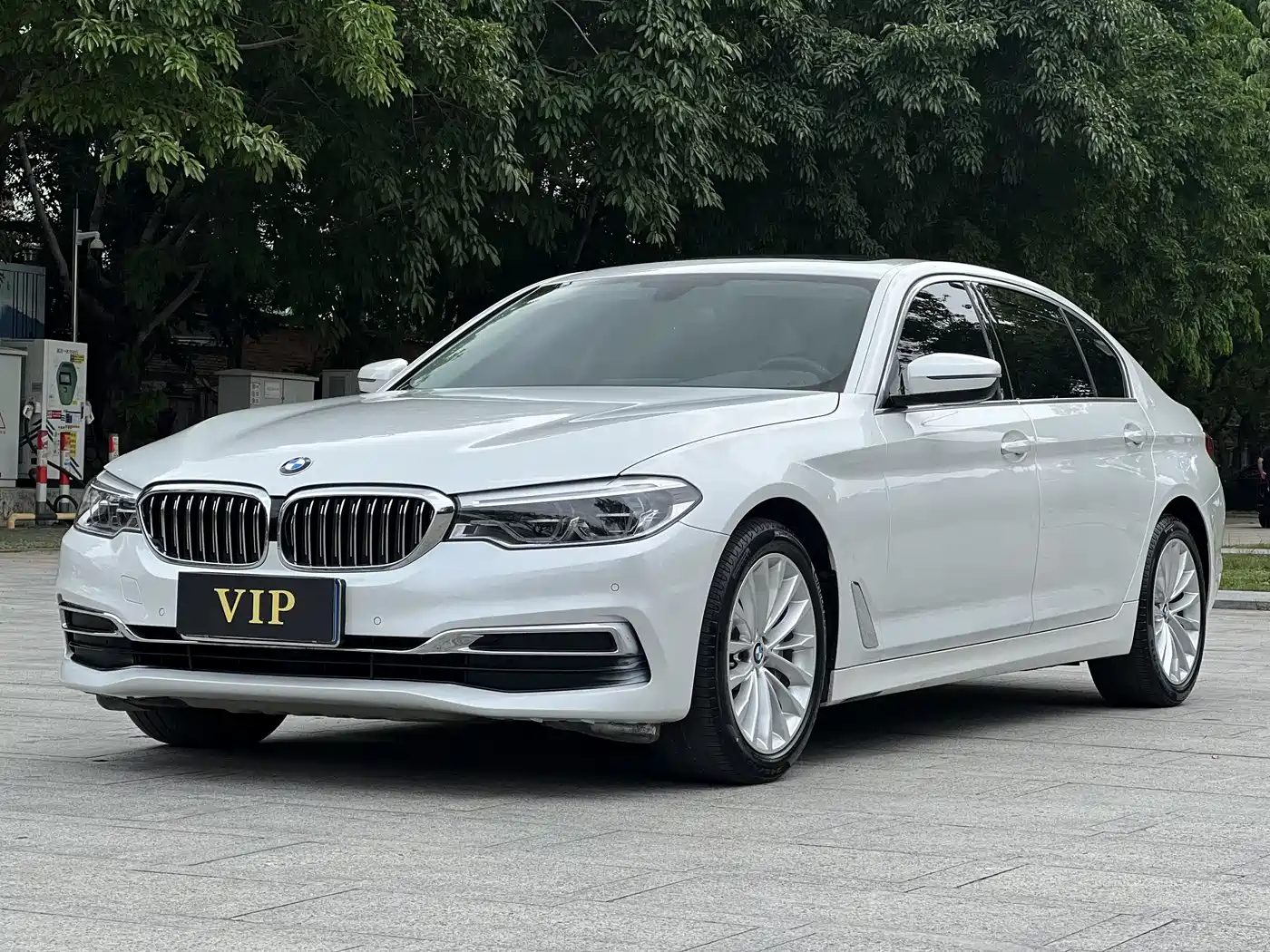 BMW 5 Series 2020 530Li Leading Luxury Package