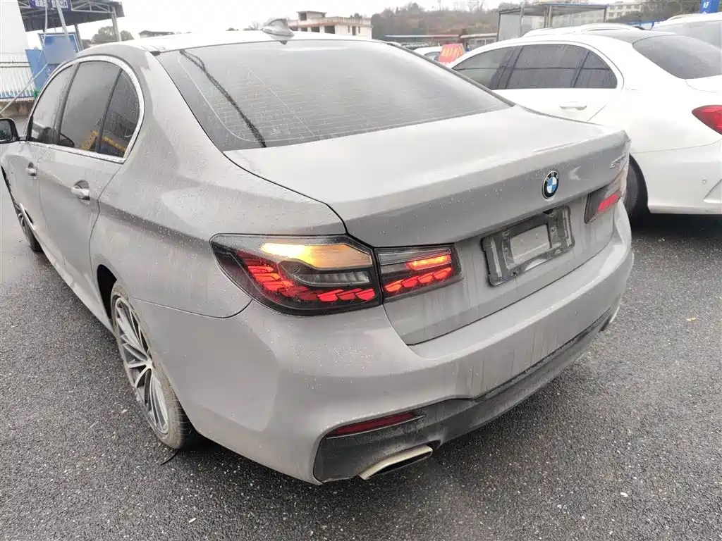 BMW 5 Series 2020 530Li Exclusive M Sport Package фото 5