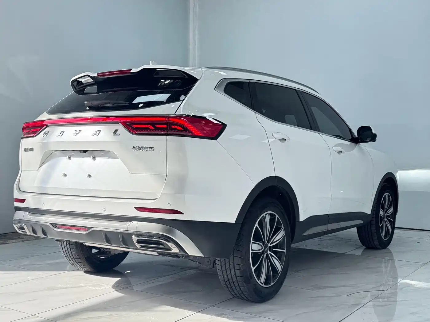 Haval H6 2023 National Trend Edition 1.5T Automatic Champion фото 6