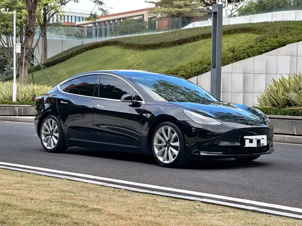 Tesla Model 3 2020 2020 Standard Range Rear-Wheel Drive Upgrade