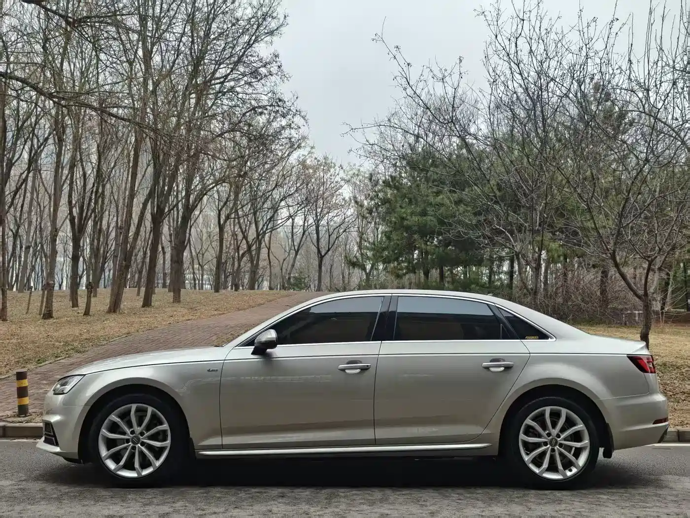Audi A4L 2018 30th Anniversary 40 TFSI Fashion фото 3