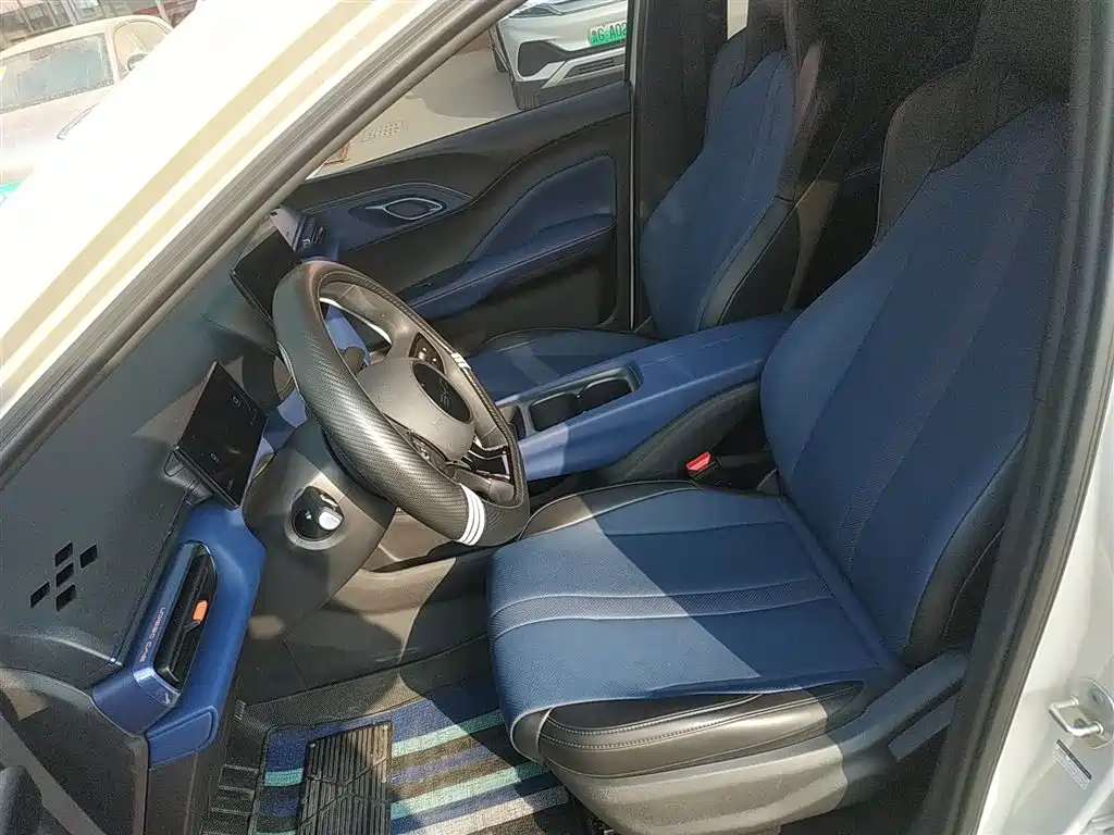 BYD Seagull 2025 Smart Drive Edition 305km Vitality Version фото 15