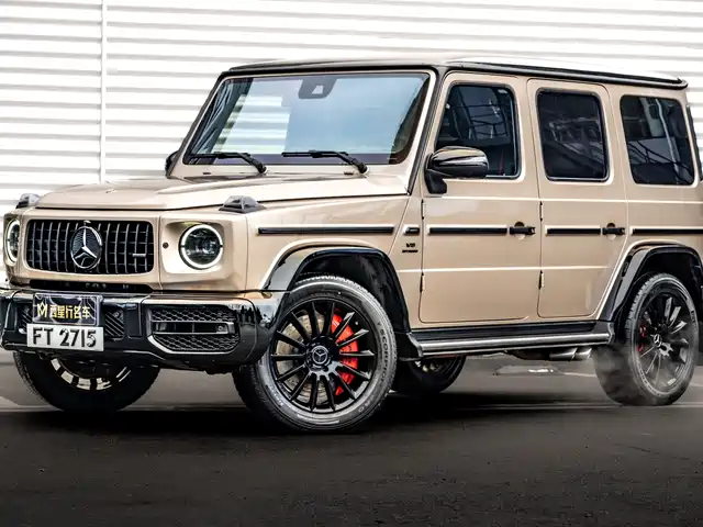 Mercedes-Benz G-Class 2020 G 500 Dark Night Special Edition