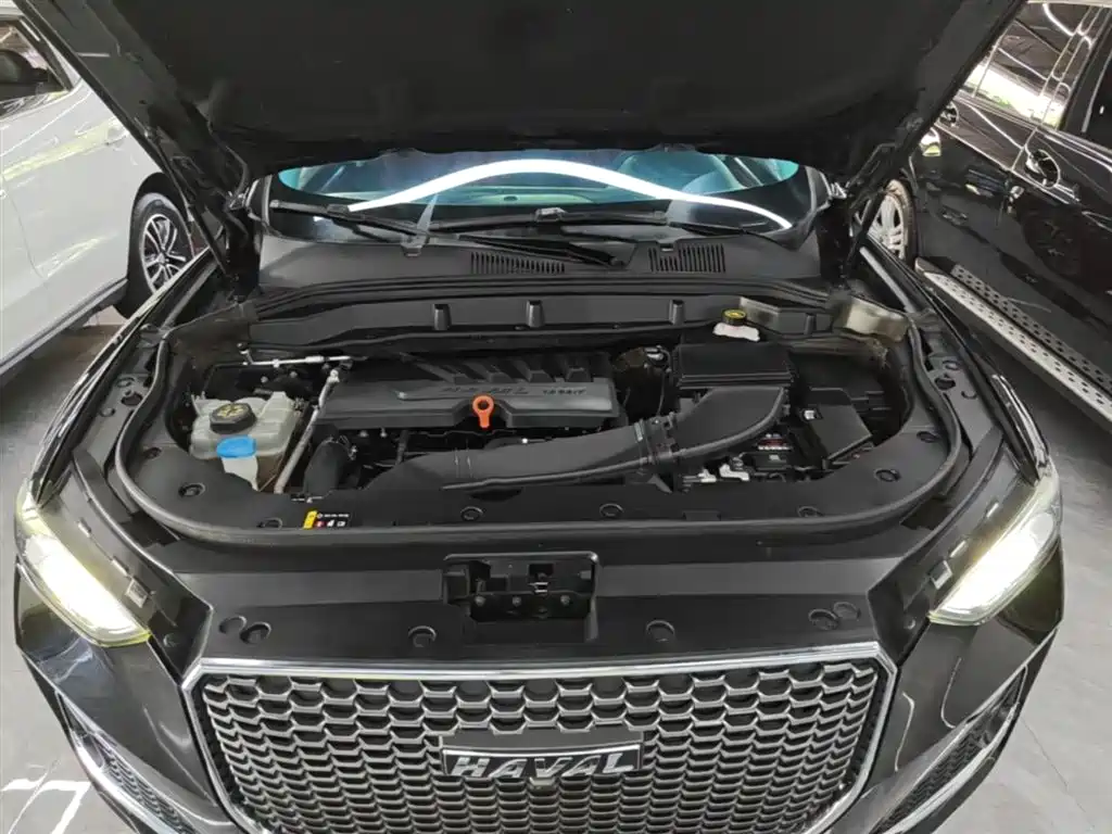 Haval F5 2019 National Trend Edition 1.5T iStyle China VI фото 20