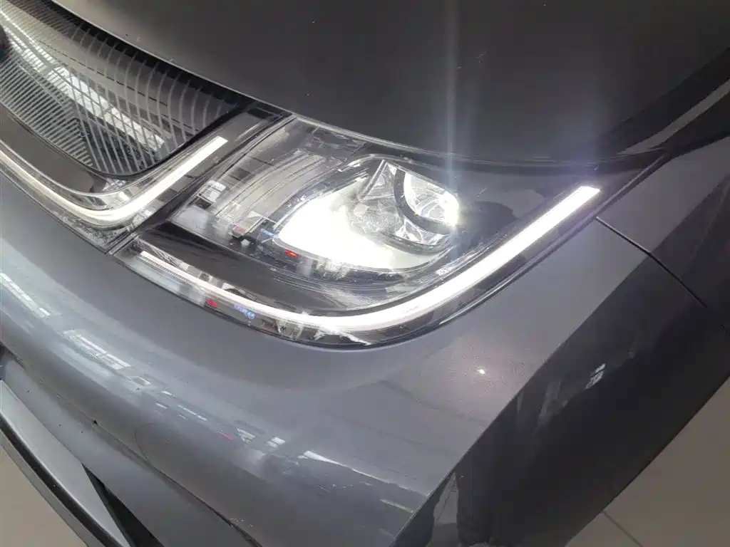 BYD Dolphin 2023 401km Knight Edition фото 18