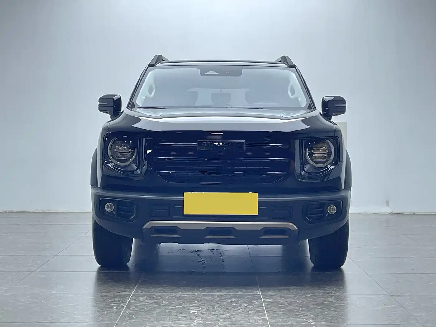 Haval Big Dog 2022 1.5T DCT FWD Border Collie Edition фото 2