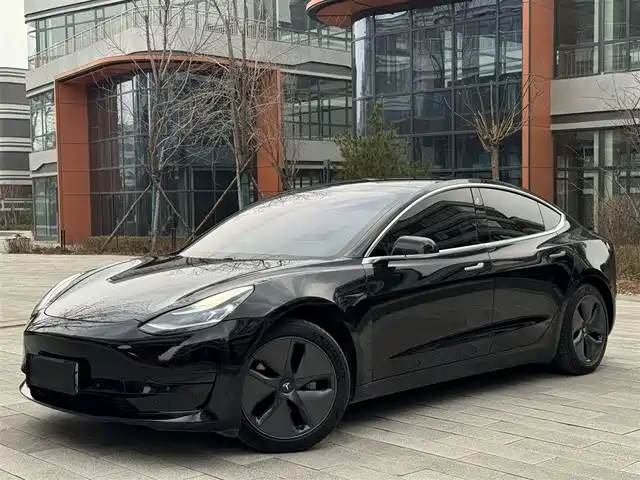 TESLA MODEL 3 2020