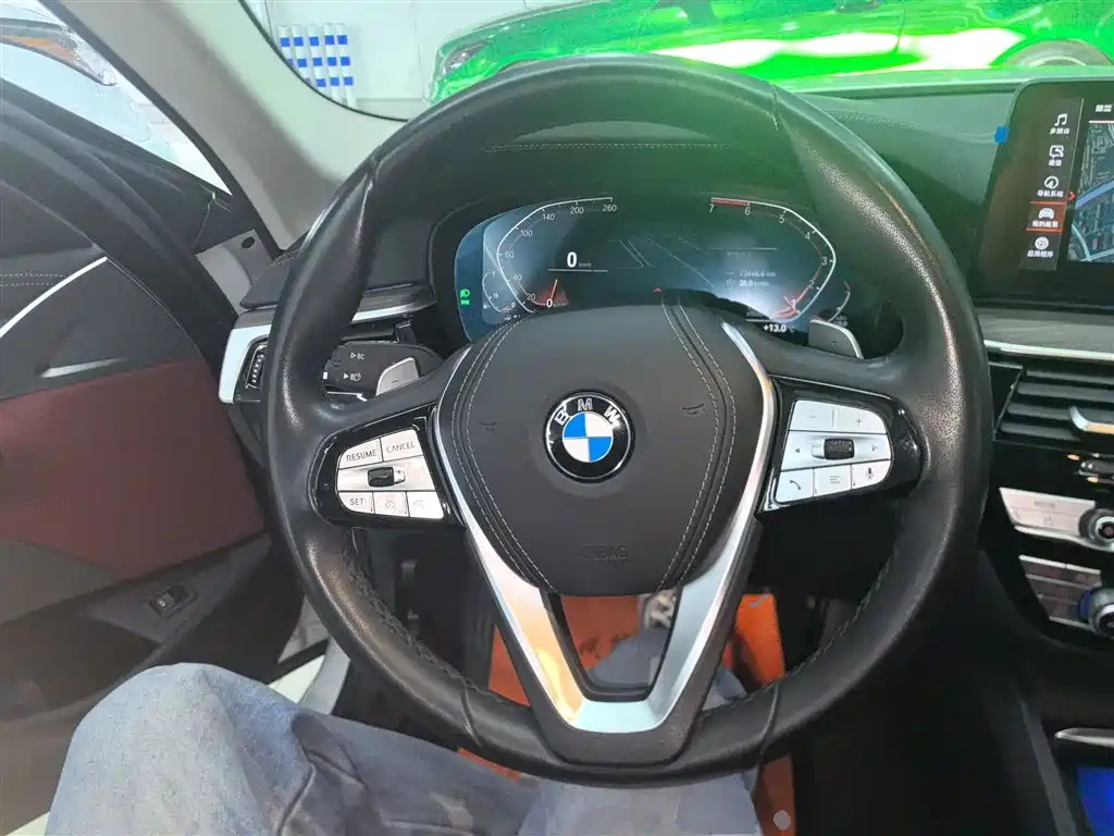 BMW 5 Series 2021 530Li Leading Luxury Package фото 11
