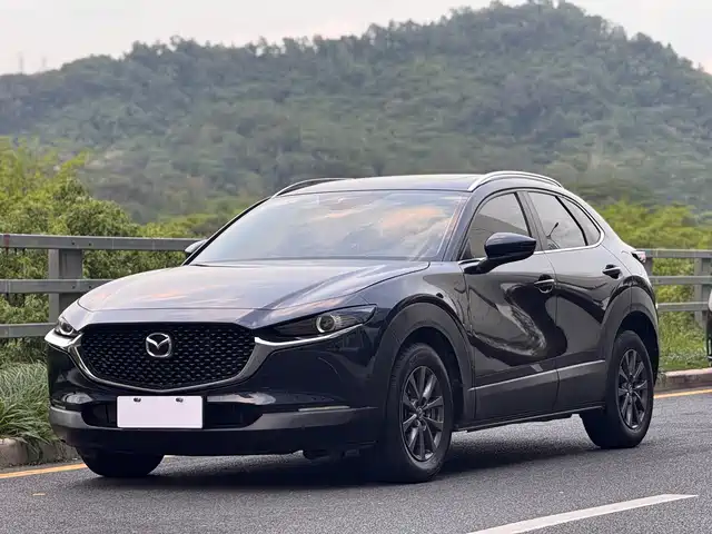  Mazda Mazda CX-30 2021 2.0L Auto Elegance Type