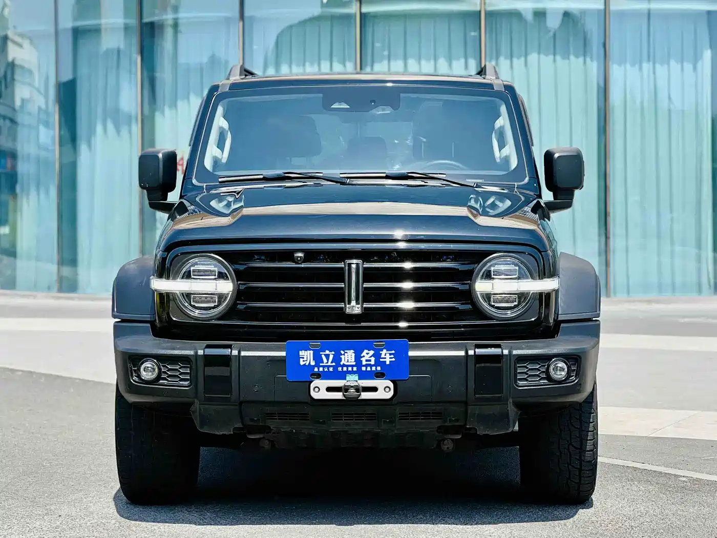 Tank 300 2021 Off-road Version 2.0T Conqueror фото 2