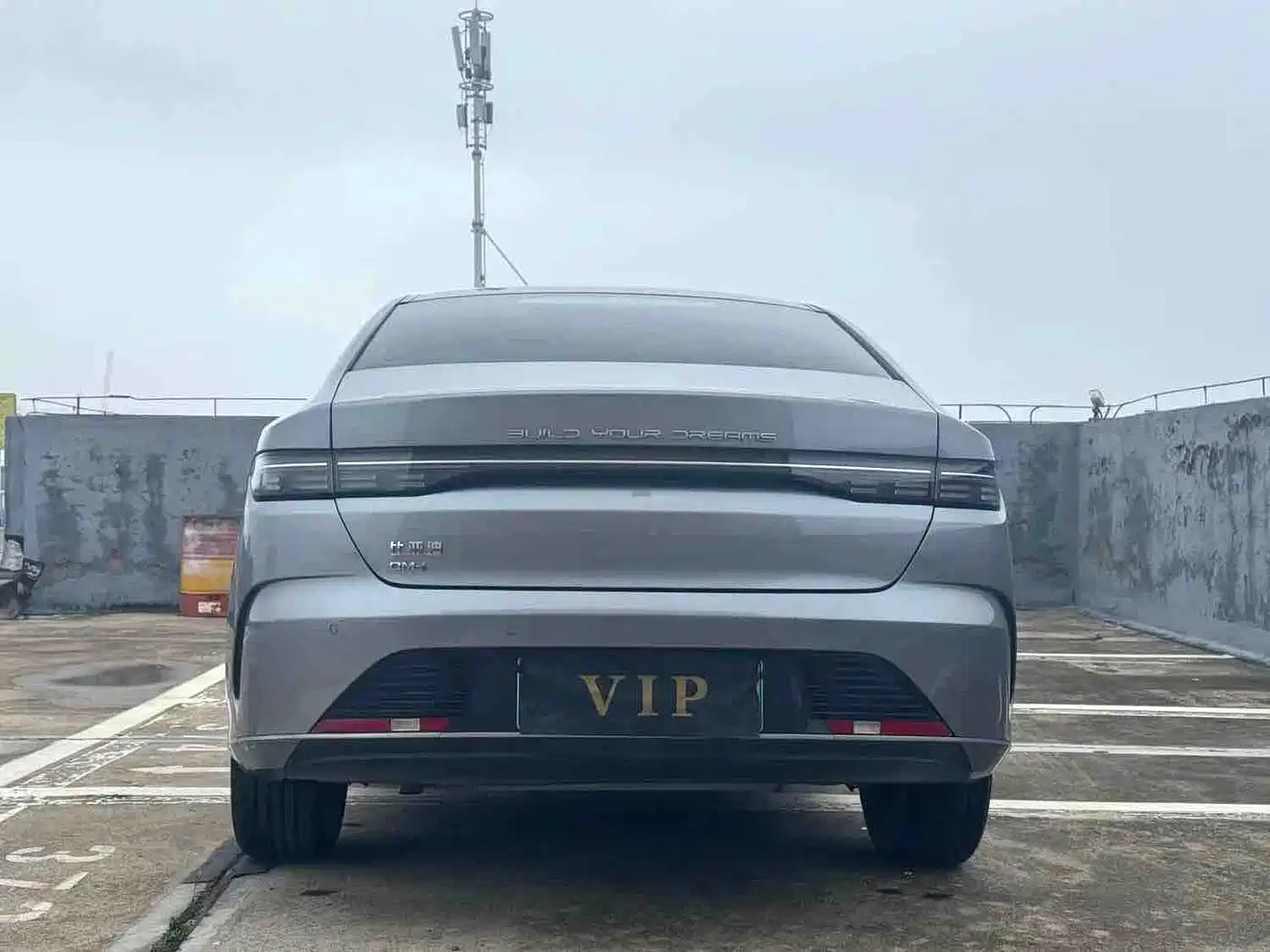 BYD Destroyer 05 2024 Glory Edition DM-i 55KM Luxury фото 5