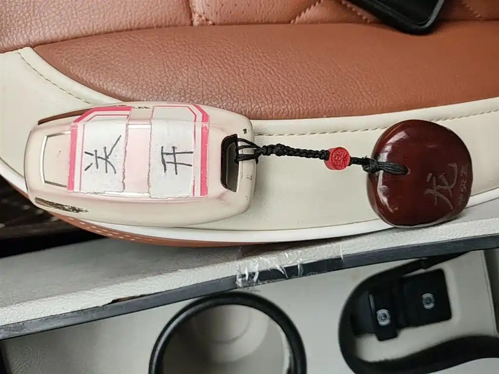 Ora White Cat 2021 2020 305km Luxury