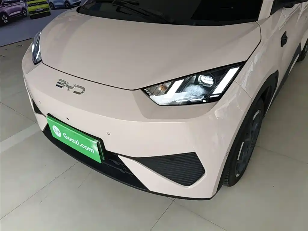 BYD Seagull 2025 Smart Drive Edition 305km Freedom Version фото 24