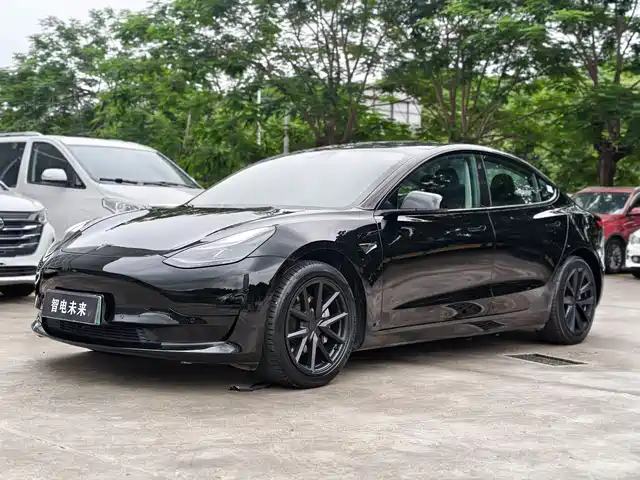 Tesla Model 3 Задний привод