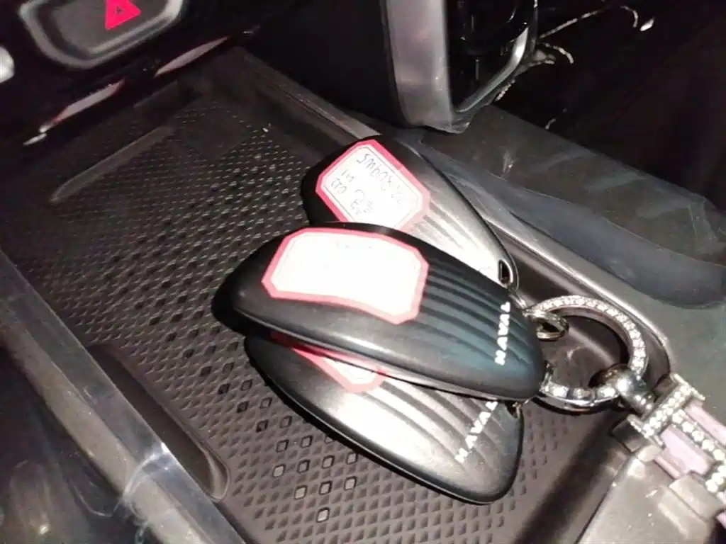 Haval Big Dog 2026 Model 1.5T High Configuration фото 9