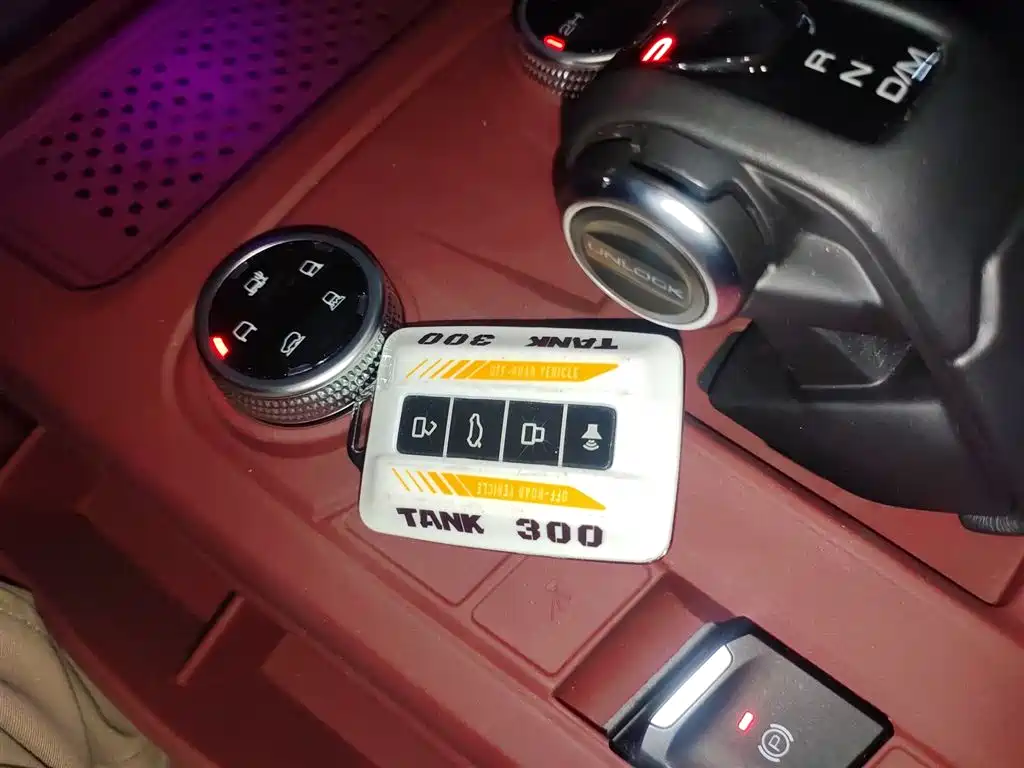 Tank 300 2021 Off-road Version 2.0T Conqueror фото 17