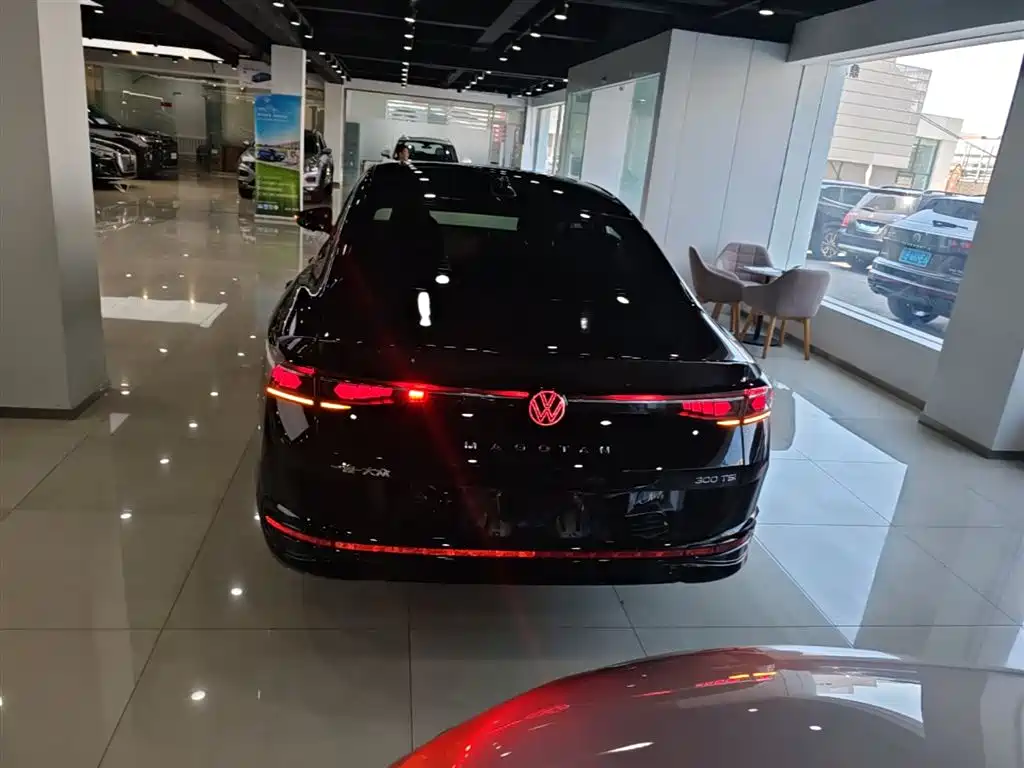 Volkswagen Magotan 2024 300TSI DSG Premium Edition (Eye-catching Package) фото 6