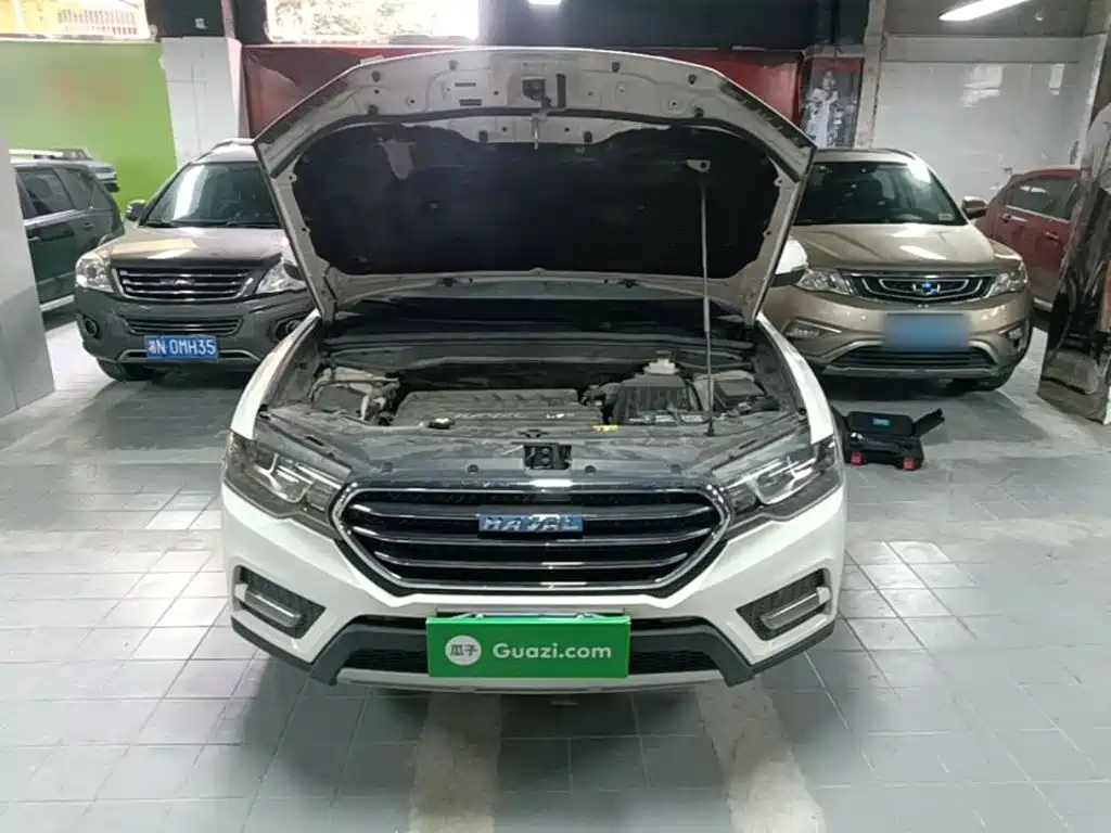 Haval H6 Coupe 2016 2016 Blue Label 1.5T Manual 2WD Urban