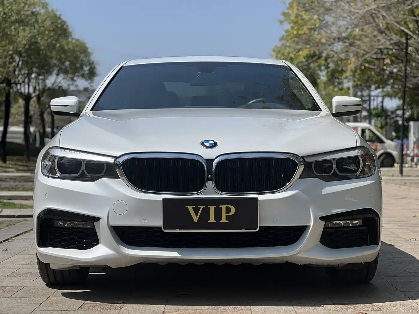 BMW 5 Series 2019 530Li Leading M Sport Package фото 5