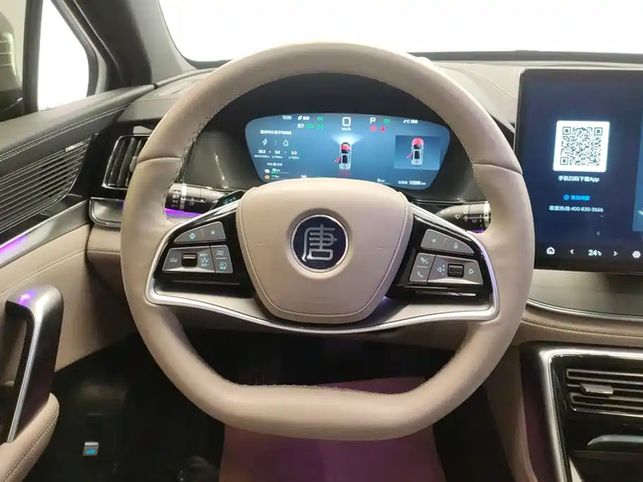 BYD Tang New Energy 2025 2025 Smart Driving Edition DM-i 115KM Flagship
