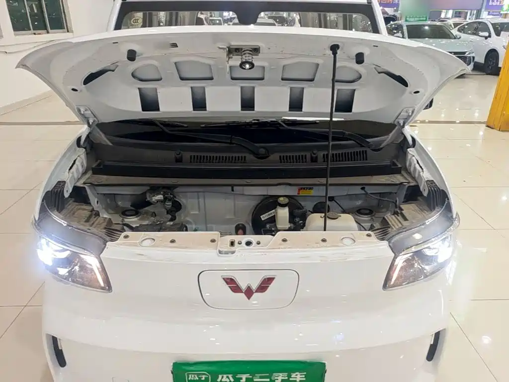 Wuling Motors Wuling Zhiguang NEV 2026 2025 Model 305km Base Version