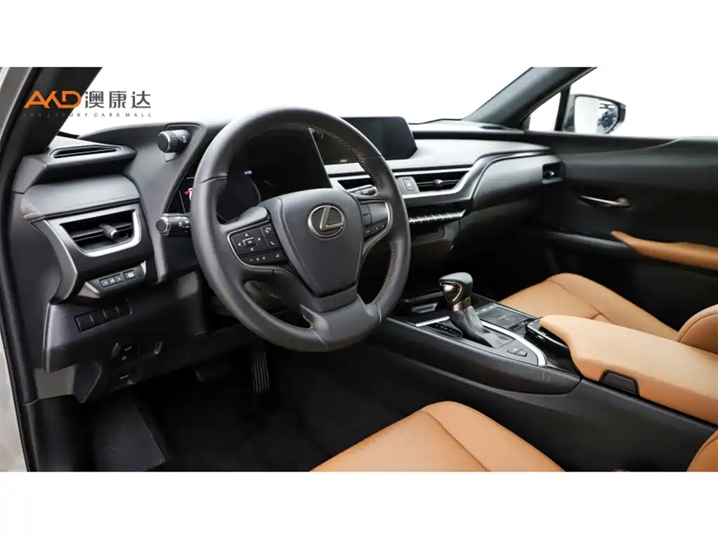 Lexus UX 2020 260h Explore Fun Edition фото 6