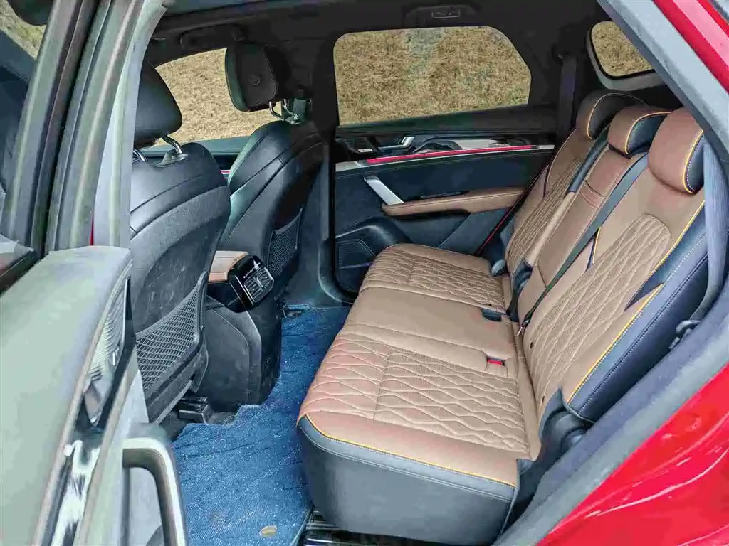 BYD Tang New Energy 2021 DM-i 112KM Honor фото 11