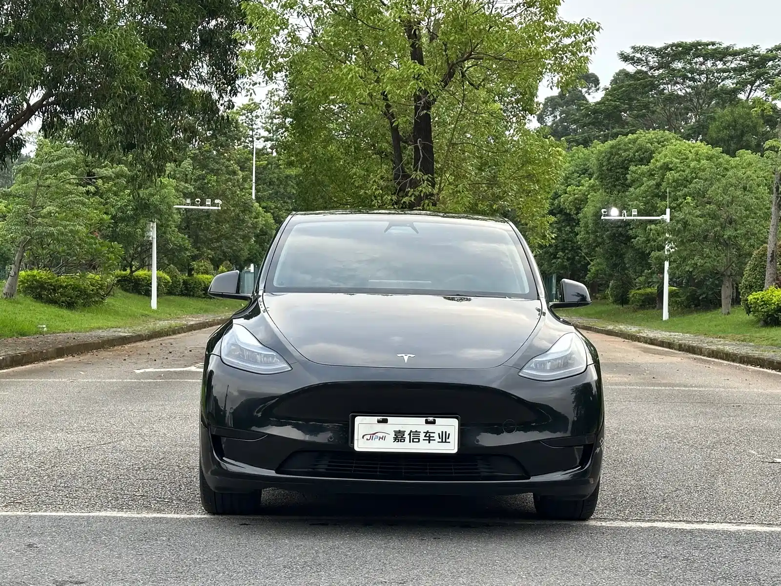 Фото 2 - Tesla Model Y