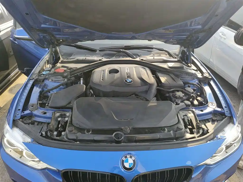 BMW 3 Series 2019 320Li M Sport Package фото 16