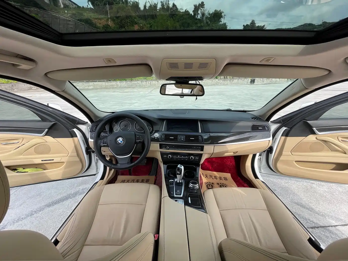 BMW 5 Series 2013 525Li Luxury фото 11