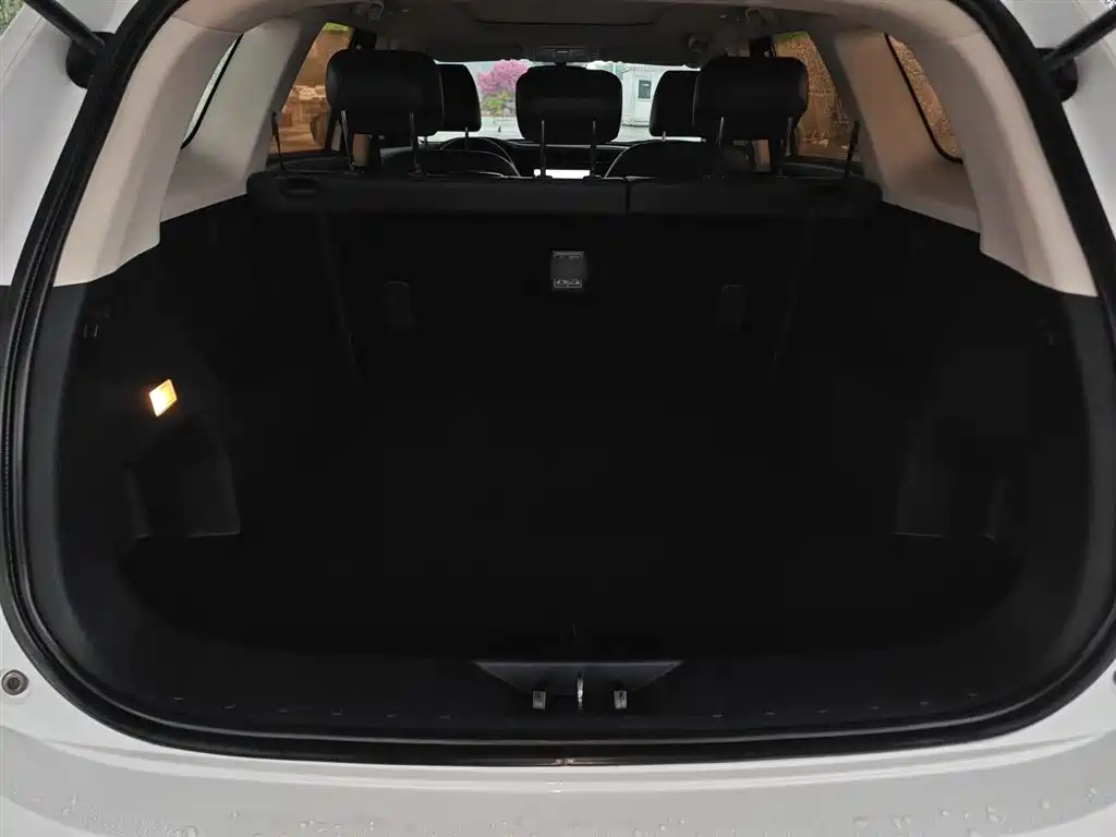 Changan Oshan X7 2020 2020 1.5T Auto Premium