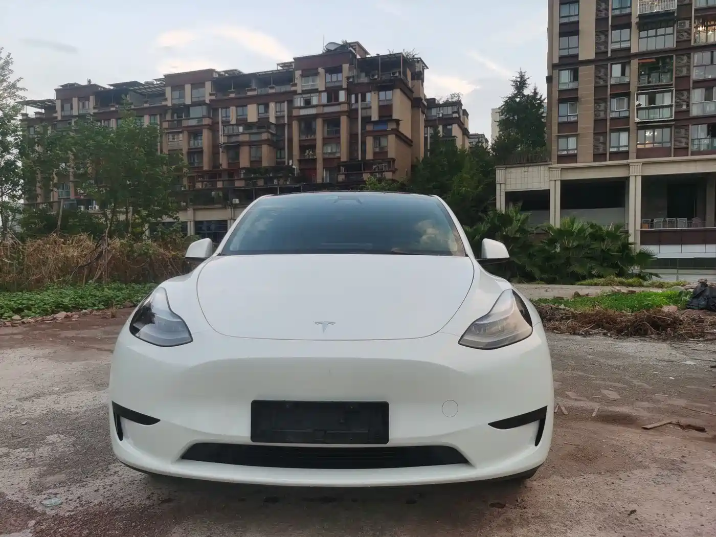 Фото 2 - Tesla Model Y