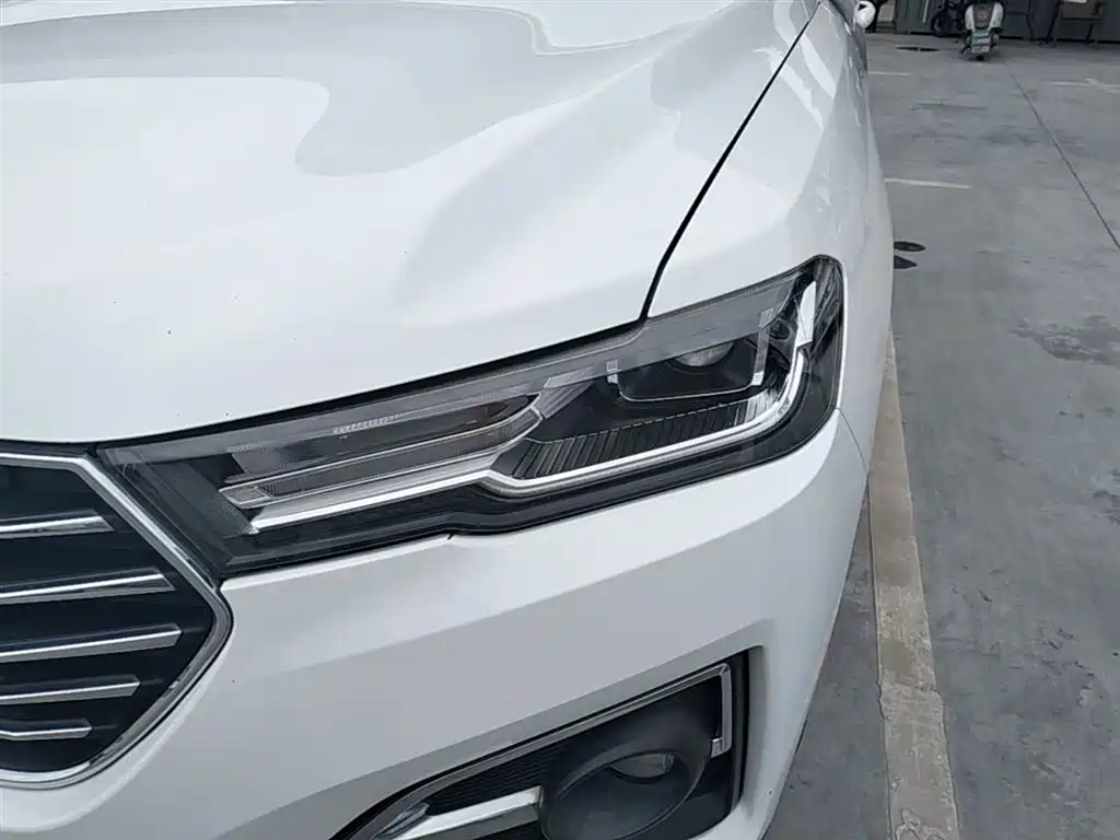 Haval H6 2018 Blue Label 1.5T Automatic Luxury фото 24
