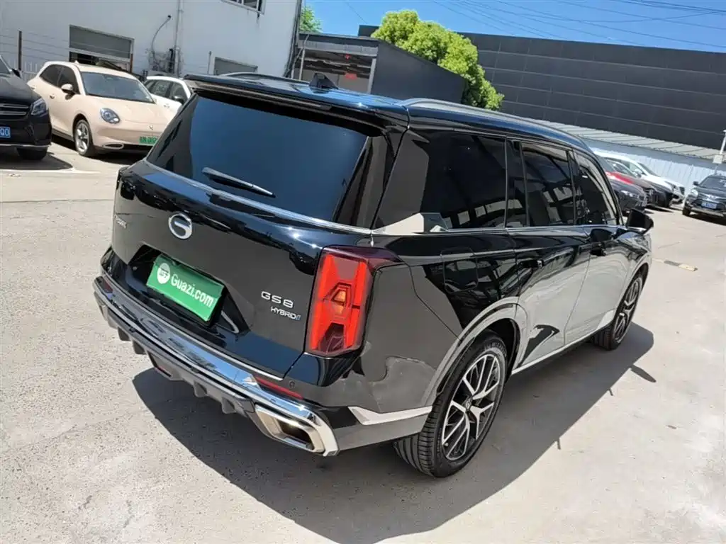 GAC Trumpchi Trumpchi GS8 2024 Dual Engine Series 2.0TM 2WD Premium Edition фото 7