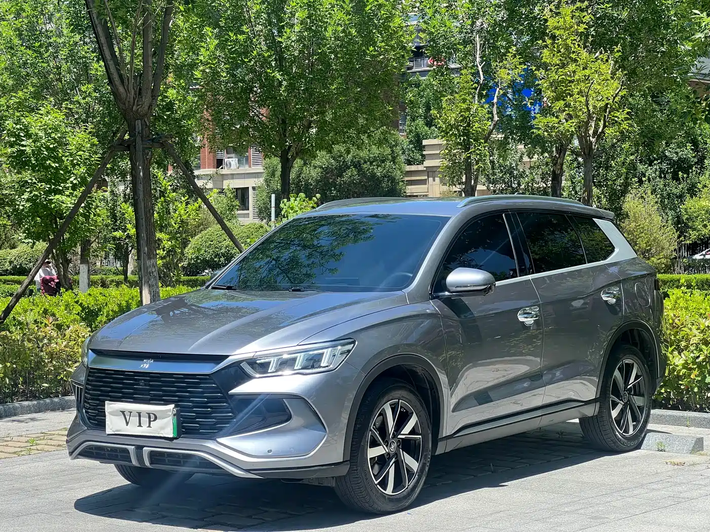 BYD Song Pro New Energy 2024 Glory Edition DM-i 71KM Pilot