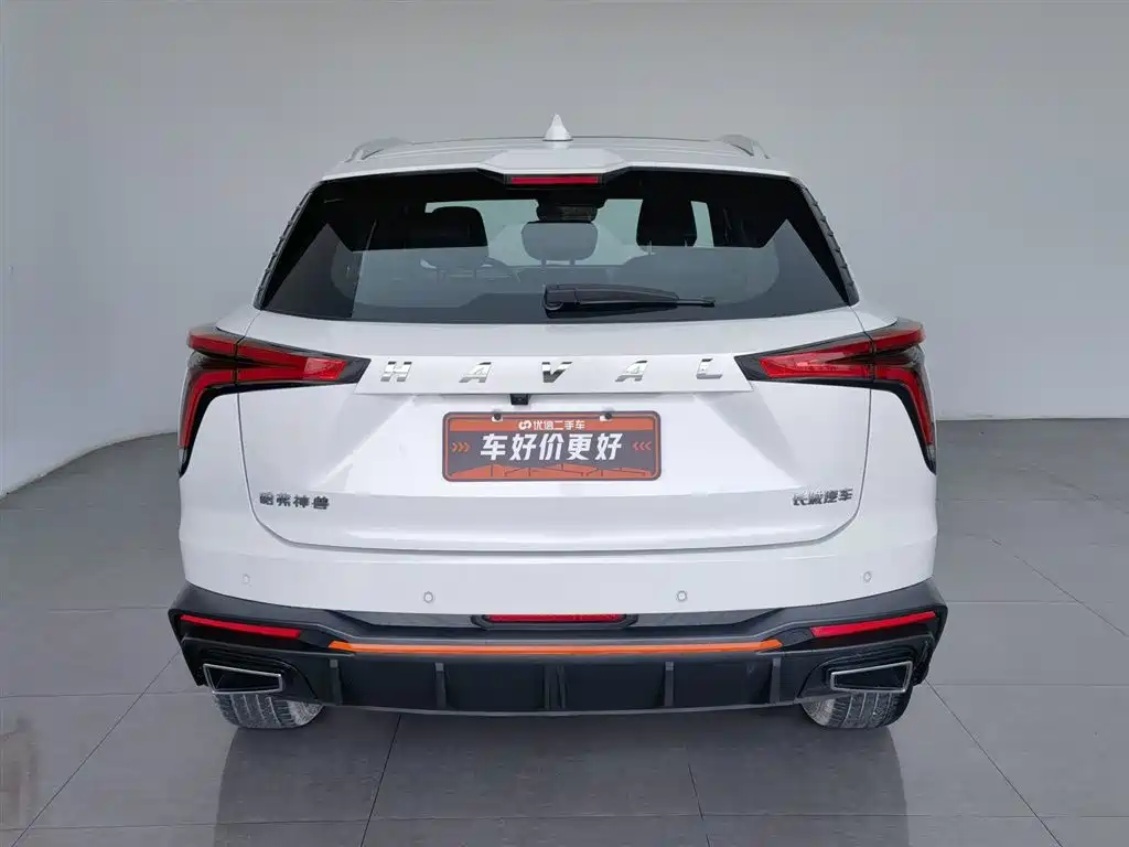 HAVAL DIVINE BEAST