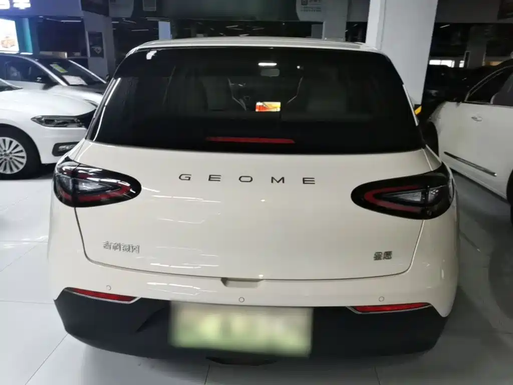 Geely Galaxy Starry Wish 2026 2026 Edition 310km Youth Version