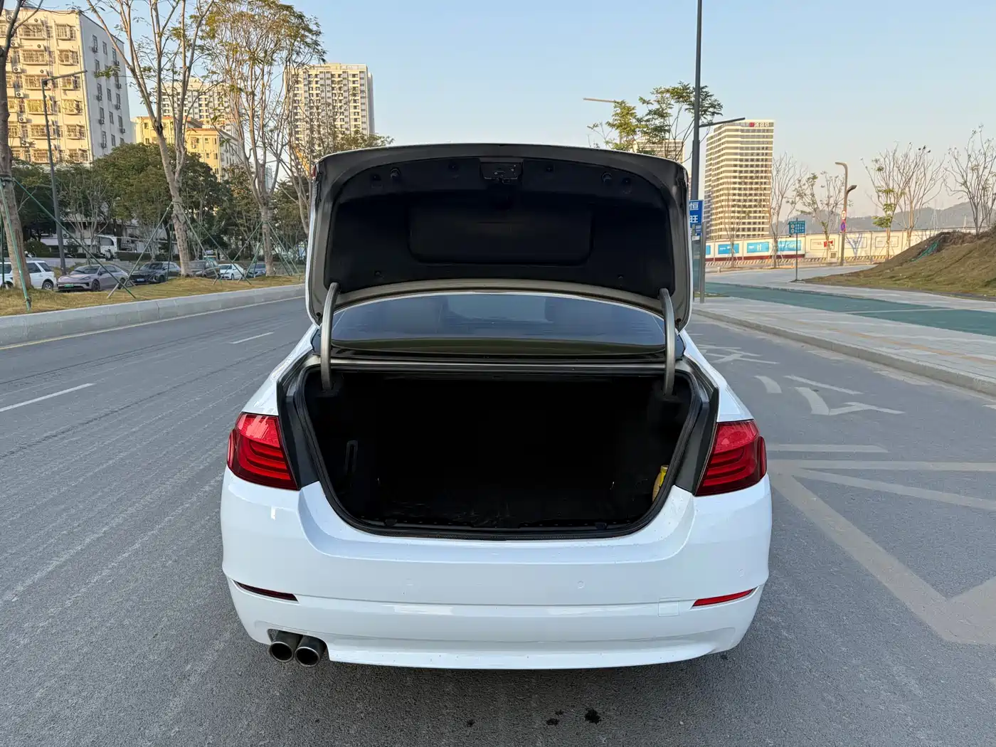 BMW 5 Series 2011 528Li Luxury фото 12