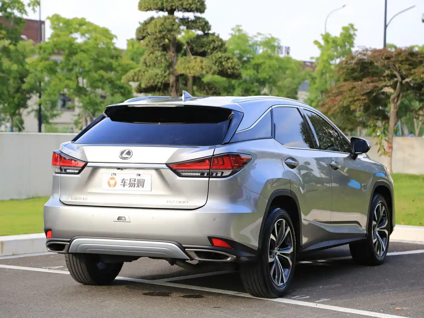 Lexus RX 2020 300 4WD Elegance Edition China VI фото 22