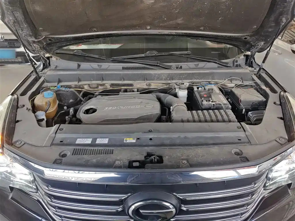 GAC Trumpchi Trumpchi GS8 2017 320T 2WD Luxury Smart Connect (7-seater) фото 20