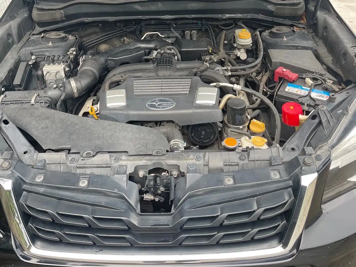 Фото 13 - Subaru Forester