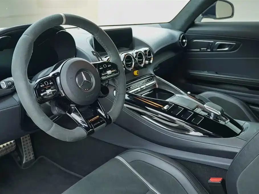 Mercedes-Benz AMG GT 2019 AMG GT R PRO фото 18