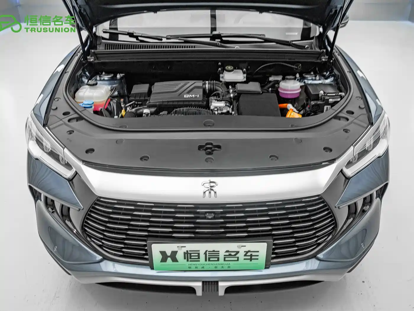 BYD Song Pro New Energy 2024 Glory Edition DM-i 71KM Pilot фото 20